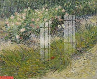 Tải file Tranh sơn dầu phương tây tổng hợp STS42646 (gốc) chủ đề hoa sen