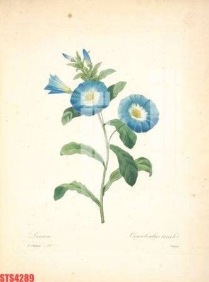 File gốc Tranh sơn dầu phương tây tổng hợp STS4289 (phong cách) châu Âu