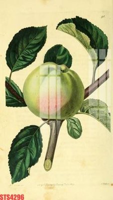 File gốc Tranh sơn dầu phương tây tổng hợp STS4296 (PSD/TIFF) độ phân giải cao