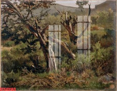 Tải file Tranh sơn dầu phương tây tổng hợp STS43163 (gốc) chủ đề hoa sen