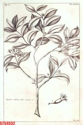 Download file Tranh sơn dầu phương tây tổng hợp STS4552 (chuẩn in) chất lượng cao