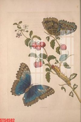 File in mica Tranh sơn dầu phương tây tổng hợp STS4582 (bản gốc) sắc sảo