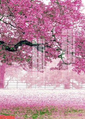 Tải file tranh gốc Tranh sơn dầu phương tây tổng hợp STS4666 chất lượng cao