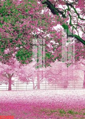 File tranh Tranh sơn dầu phương tây tổng hợp STS4750 (gốc) chủ đề thiên nhiên