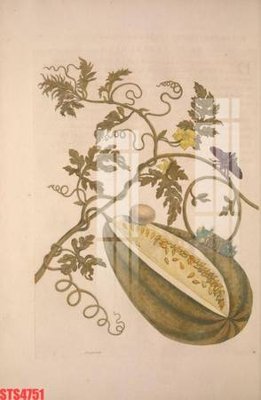 File in lụa Tranh sơn dầu phương tây tổng hợp STS4751 (phong cảnh) Tranh sơn dầu phương tây tổng hợp STS4751