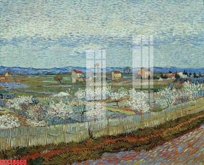 File PSD Tranh sơn dầu phương tây tổng hợp STS48660 (bản gốc) cho nhà in