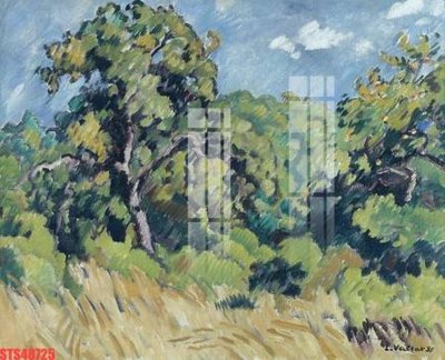 File in lụa Tranh sơn dầu phương tây tổng hợp STS48725 (chất lượng cao) Tranh sơn dầu phương tây tổng hợp STS48725