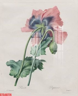 File gốc in ấn Tranh sơn dầu phương tây tổng hợp STS48774 chuẩn màu CMYK