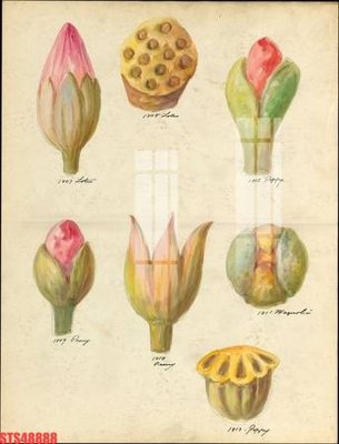 File ảnh Tranh sơn dầu phương tây tổng hợp STS48888 (gốc) in quảng cáo ngoài trời