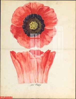 File tranh Tranh sơn dầu phương tây tổng hợp STS48891 (gốc) chủ đề thiên nhiên