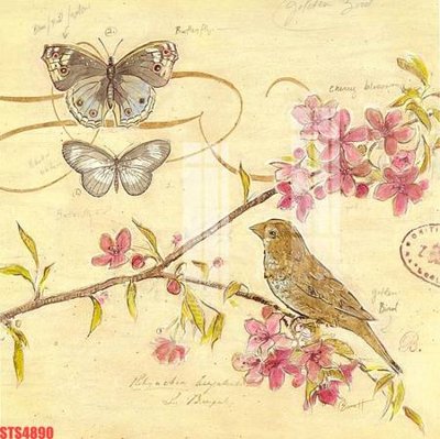 Ảnh gốc Tranh sơn dầu phương tây tổng hợp STS4890 (độ nét cao) in mica