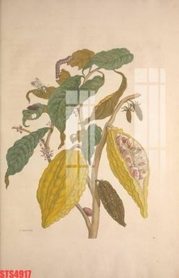 File in trần Tranh sơn dầu phương tây tổng hợp STS4917 (bản gốc) phong cảnh