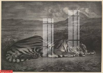 File tranh Tranh sơn dầu phương tây tổng hợp STS5038 (ảnh gốc) sắc nét hoàn hảo