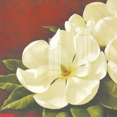 File tranh Tranh sơn dầu phương tây tổng hợp STS5138 (file gốc) chủ đề phong thủy