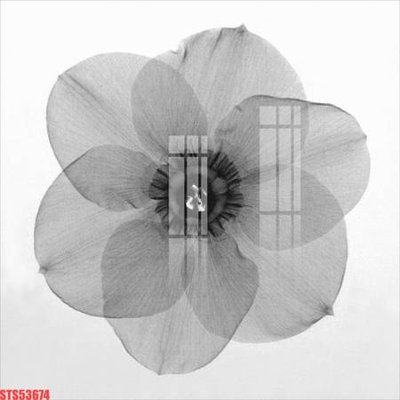 File in trần Tranh sơn dầu phương tây tổng hợp STS53674 (bản gốc) bầu trời