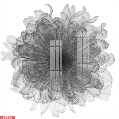 File gốc Tranh sơn dầu phương tây tổng hợp STS53675 (in lụa) chi tiết cao