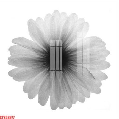 File tranh ảnh gốc Tranh sơn dầu phương tây tổng hợp STS53677 dùng cho in khổ lớn