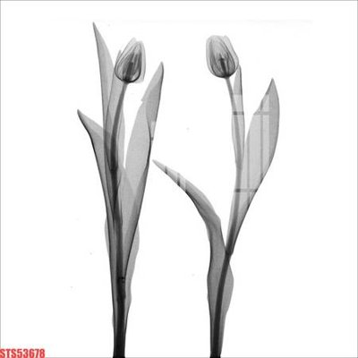 File ảnh Tranh sơn dầu phương tây tổng hợp STS53678 (gốc) cho trang trí nhà hàng