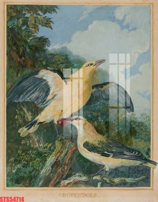 Hình ảnh file gốc Tranh sơn dầu phương tây tổng hợp STS54714 (chất lượng cao)