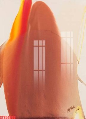 File gốc Tranh sơn dầu phương tây tổng hợp STS54996 (in lụa) trang trí tường