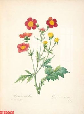 Download file gốc Tranh sơn dầu phương tây tổng hợp STS5523 (in mica) 3D