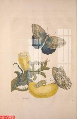 File tranh Tranh sơn dầu phương tây tổng hợp STS5530 (bản gốc) trang trí văn phòng