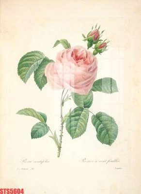 Mua file gốc Tranh sơn dầu phương tây tổng hợp STS5604 (PSD) tại Filetranh.com