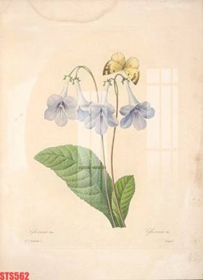 File tranh gốc Tranh sơn dầu phương tây tổng hợp STS562 (bản quyền) Filetranh.com