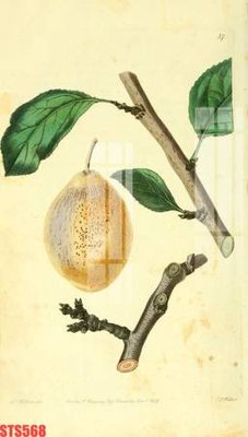 File gốc Tranh sơn dầu phương tây tổng hợp STS568 (chủ đề hiện đại) trang trí