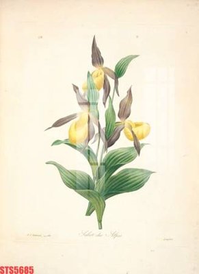 File tranh in trần 3D Tranh sơn dầu phương tây tổng hợp STS5685 (ảnh gốc)