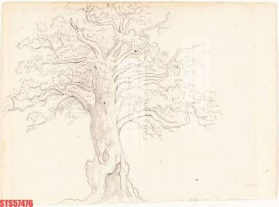 Tải về hình ảnh gốc Tranh sơn dầu phương tây tổng hợp STS57476 sắc nét