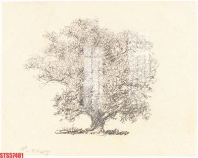 File gốc Tranh sơn dầu phương tây tổng hợp STS57481 (cho in UV) siêu nét