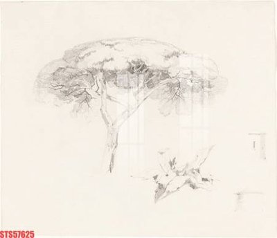 File gốc Tranh sơn dầu phương tây tổng hợp STS57625 (cho in 3D) độc đáo