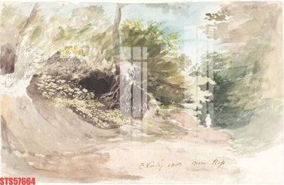 Tải file Tranh sơn dầu phương tây tổng hợp STS57664 (gốc) chủ đề hoa sen