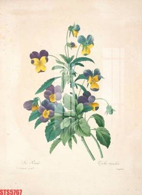 Hình ảnh file gốc in lụa Tranh sơn dầu phương tây tổng hợp STS5767