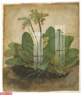 File tranh Tranh sơn dầu phương tây tổng hợp STS58632 (gốc) chủ đề trừu tượng