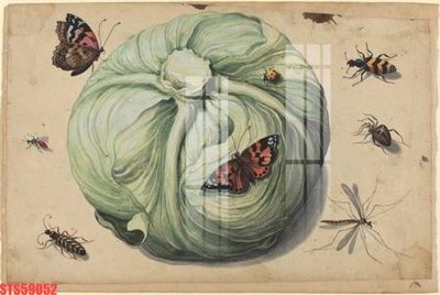 Ảnh gốc Tranh sơn dầu phương tây tổng hợp STS59052 (độ nét cao) in mica