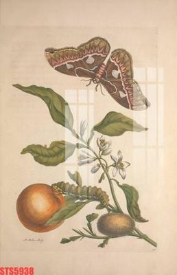 File gốc Tranh sơn dầu phương tây tổng hợp STS5938 (dành cho trang trí nội thất)