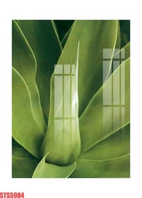 File in trần Tranh sơn dầu phương tây tổng hợp STS5984 (bản gốc) 5D