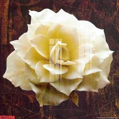 File tranh Tranh sơn dầu phương tây tổng hợp STS5996 (ảnh gốc) sắc nét hoàn hảo