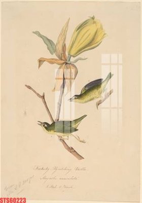 File in trần Tranh sơn dầu phương tây tổng hợp STS60223 (bản gốc) đại dương