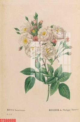 File PSD Tranh sơn dầu phương tây tổng hợp STS60608 (gốc) tách lớp chi tiết