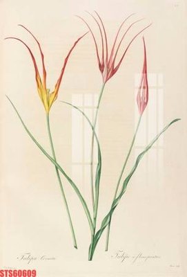 File tranh Tranh sơn dầu phương tây tổng hợp STS60609 (ảnh gốc) sắc nét hoàn hảo