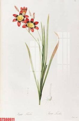 File gốc Tranh sơn dầu phương tây tổng hợp STS60611 (in ấn) không giới hạn