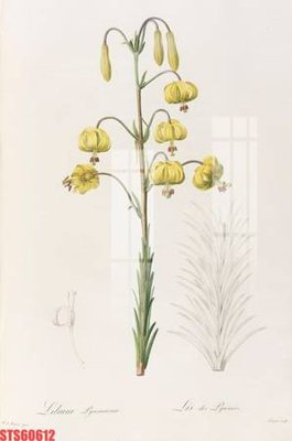 Tải file gốc Tranh sơn dầu phương tây tổng hợp STS60612 (in tráng gương) 5DFile gốc Tranh sơn dầu phương tây tổng hợp STS60612 (in ấn) phiên bản premium