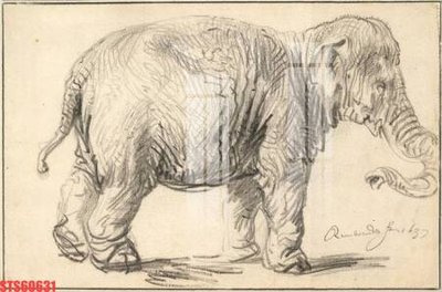 File tranh PSD Tranh sơn dầu phương tây tổng hợp STS60631 chất lượng cao