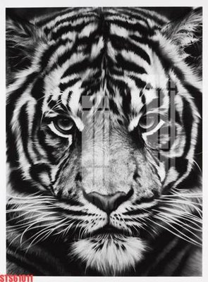 File gốc Tranh sơn dầu phương tây tổng hợp STS61011 (in ấn) màu sắc trung thực