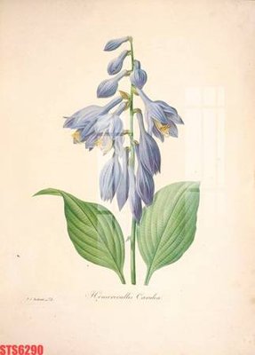 File gốc Tranh sơn dầu phương tây tổng hợp STS6290 (cho in UV) siêu nét