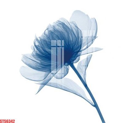 File gốc Tranh sơn dầu phương tây tổng hợp STS6342 (cho in ấn) từ Filetranh.com