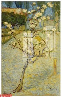 File in ấn Tranh sơn dầu phương tây tổng hợp STS63757 (bản gốc) từ file gốc